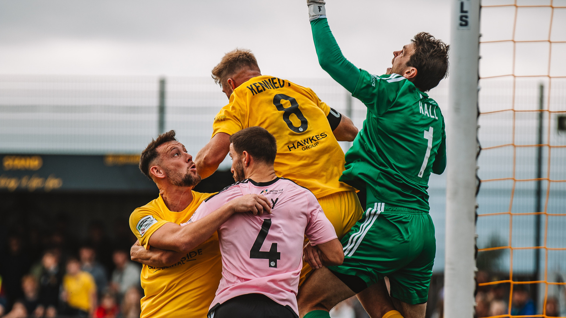 Bees and Bucks Share the Spoils at the Beehive