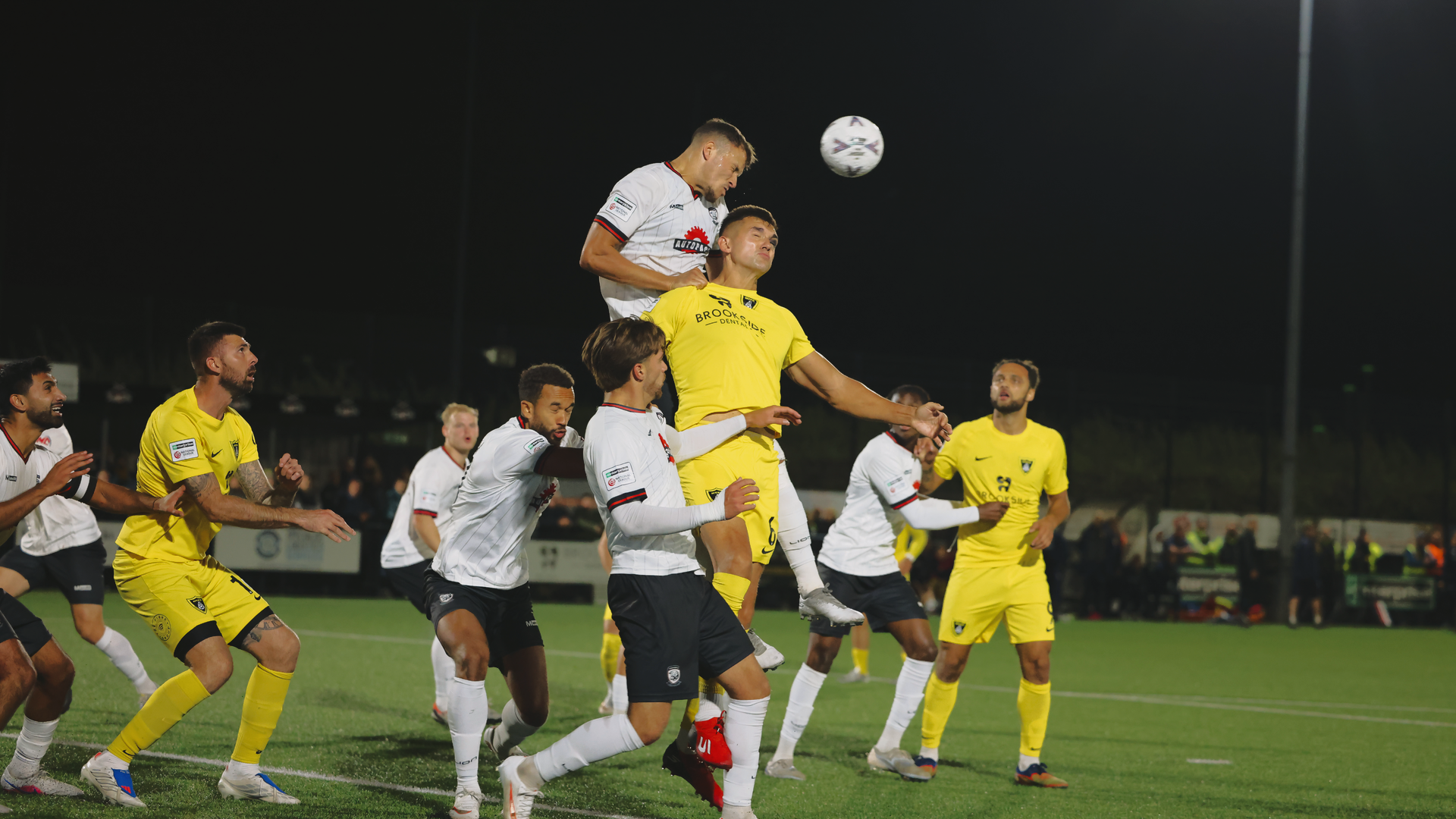 Hereford End Bees’ Year-Long Beehive Record