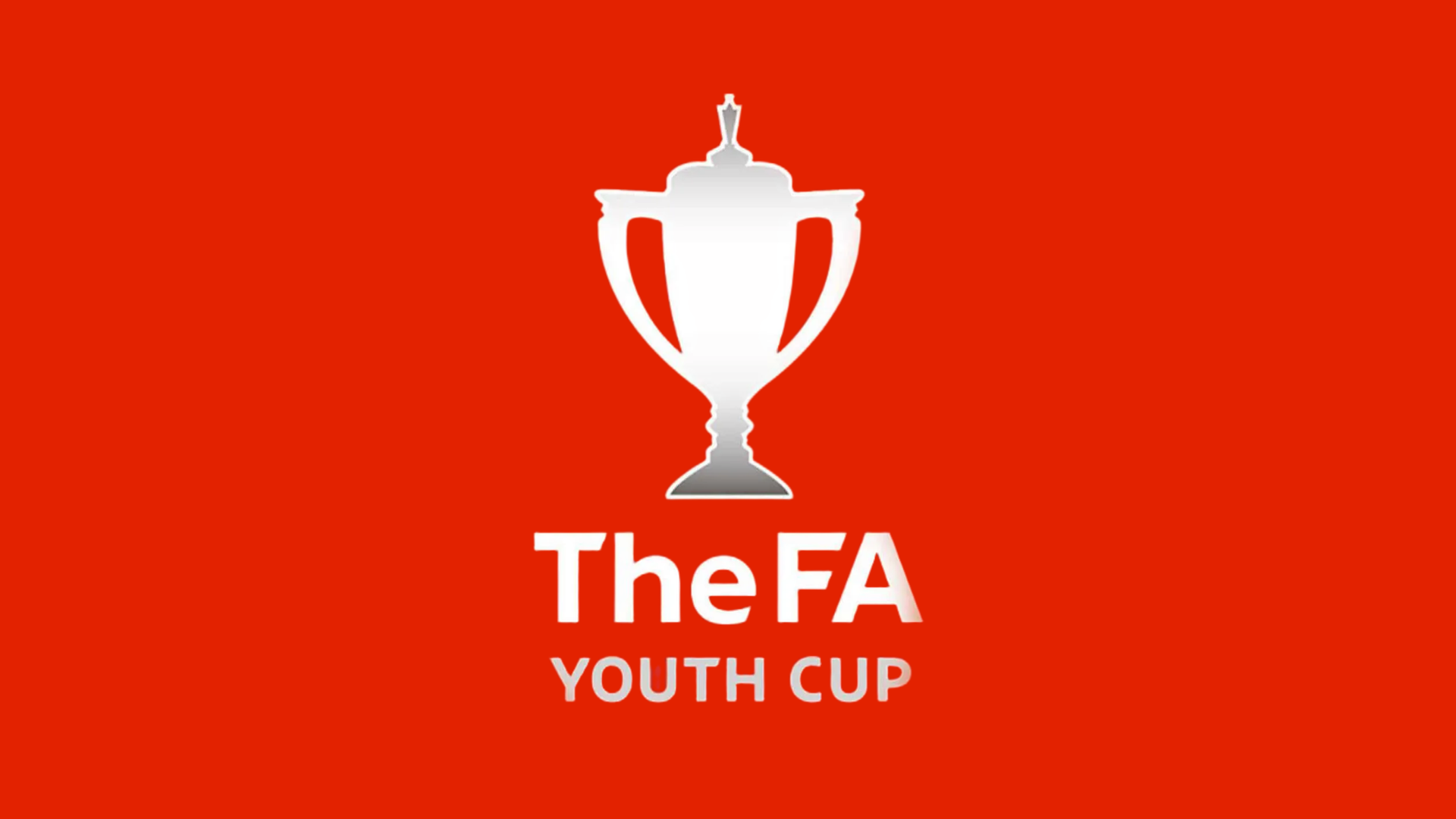 Young Bees Produce FA Youth Cup Masterclass