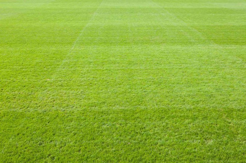 First Team Game v W’boro Town Tonight (Tuesday) is OFF