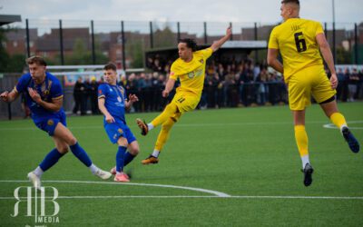 Bees Beat Brakes Breaking Records
