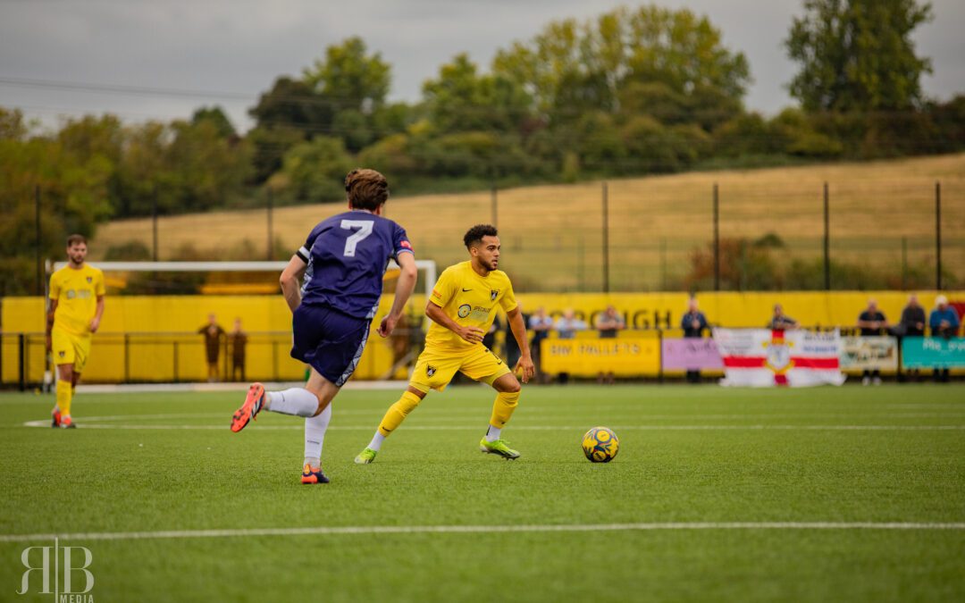 Stalemate At The BeeHive – Replay on Tuesday