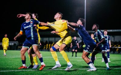 Bees Held by In-form Bards at The Beehive