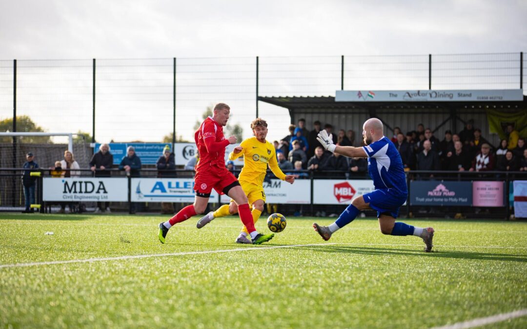 Late Rose Blooms as Harborough Down Hednesford