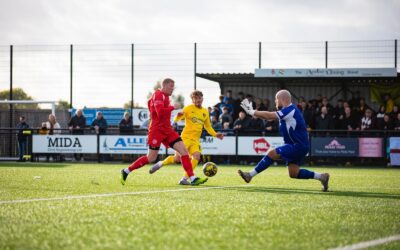 Late Rose Blooms as Harborough Down Hednesford
