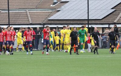 O’Sullivan’s Magic Moment Keeps Bees Flying High ✨