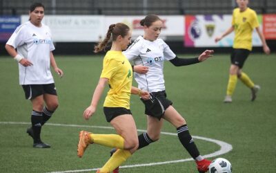 Queen Bees Find Their Reward with Impressive Home League Win