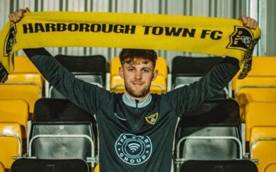 Laban Signs for the Bees