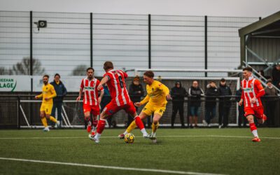Bees Shatter Glassboys’ Resistance at the Beehive