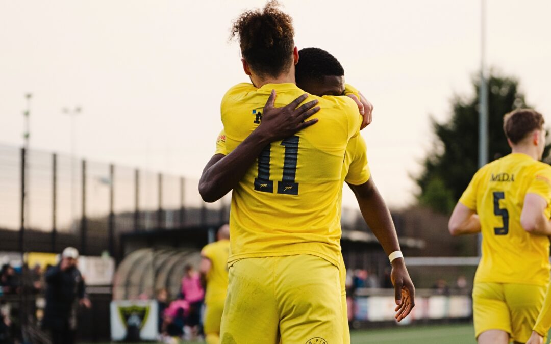 Bees Strike Back to Ruffle Crows’ Feathers