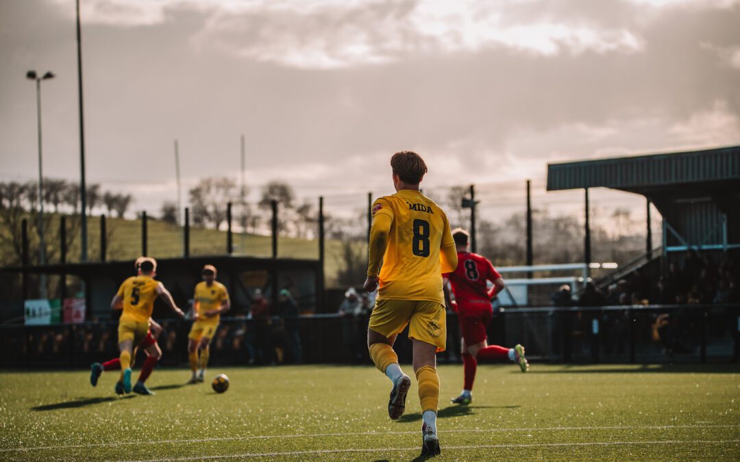 Bees Cage the Canaries to Keep Momentum Soaring