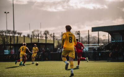 Bees Cage the Canaries to Keep Momentum Soaring