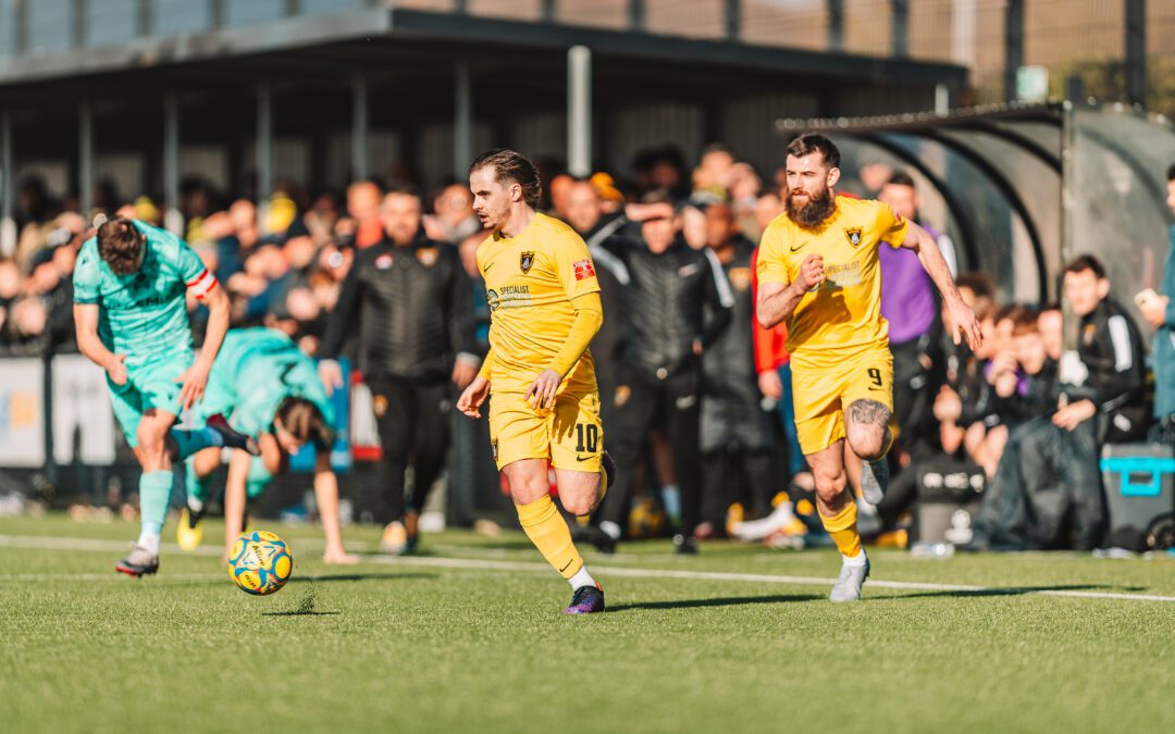 Bees and Pirates Share the Spoils in Beehive Battle