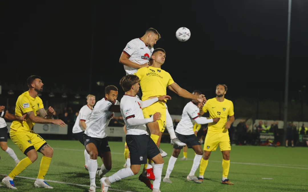 Hereford End Bees’ Year-Long Beehive Record