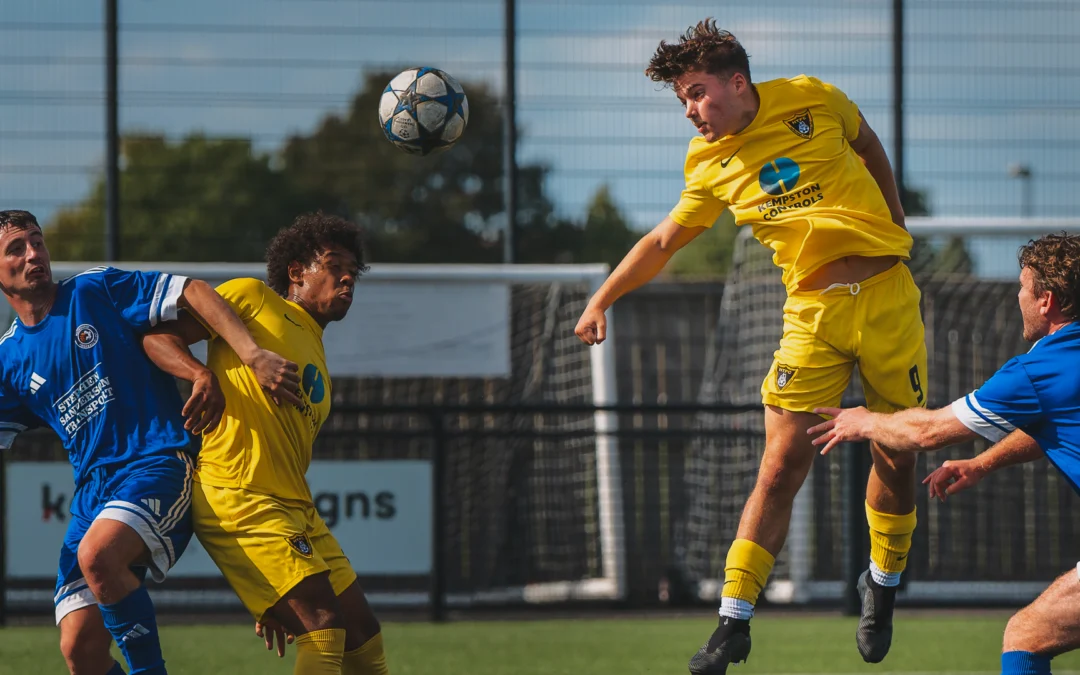 Patient Young Bees Break Down Resilient Medbourne