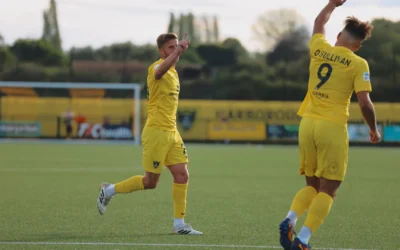 Bees Made To Work For FA Cup Progress