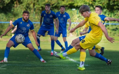 Perfect Ten for the Young Bees